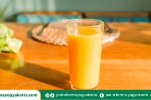 kreasi-orange-squash-drink